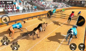Cách Chơi Game Nhanh Đua Chó Tại W88 Thắng Lớn Mỗi Ngày